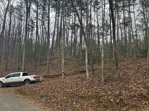 a view of a backyard with a trees