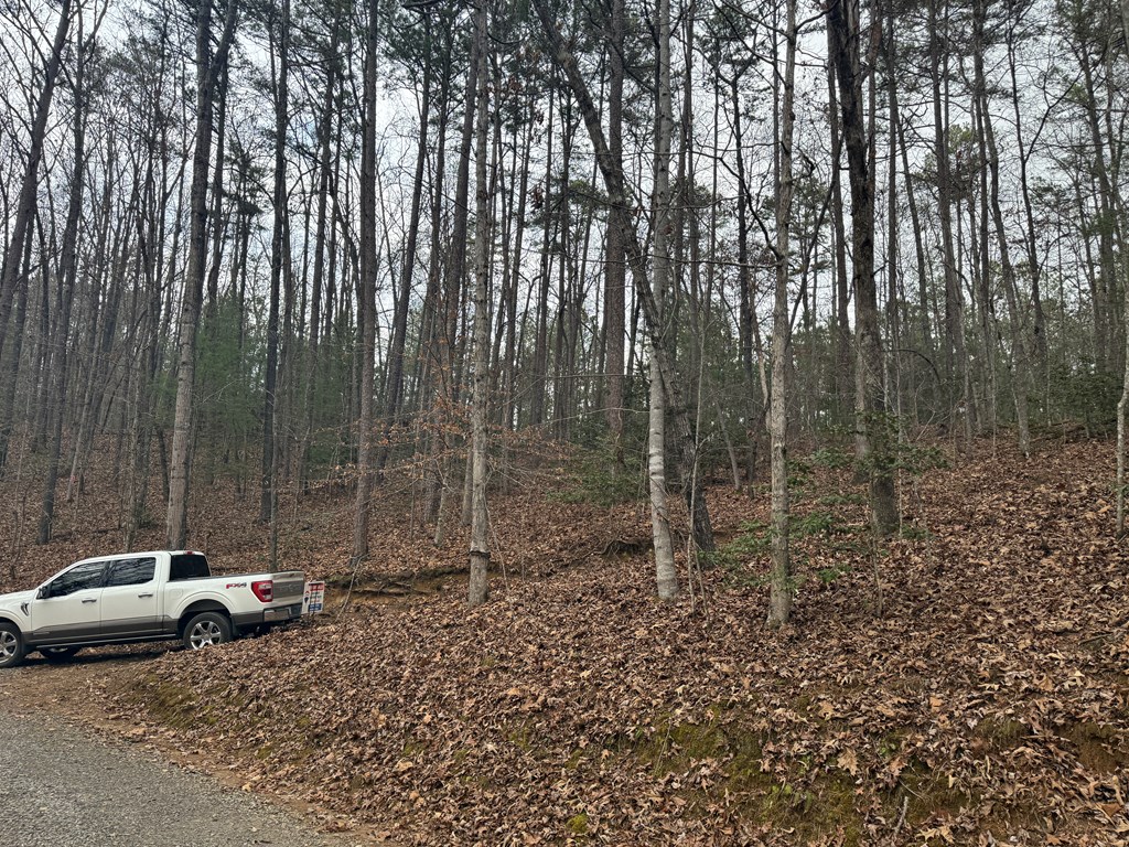 0 Kestrel Rdg Circle Murphy, NC 28906 - Photo 13 of 13