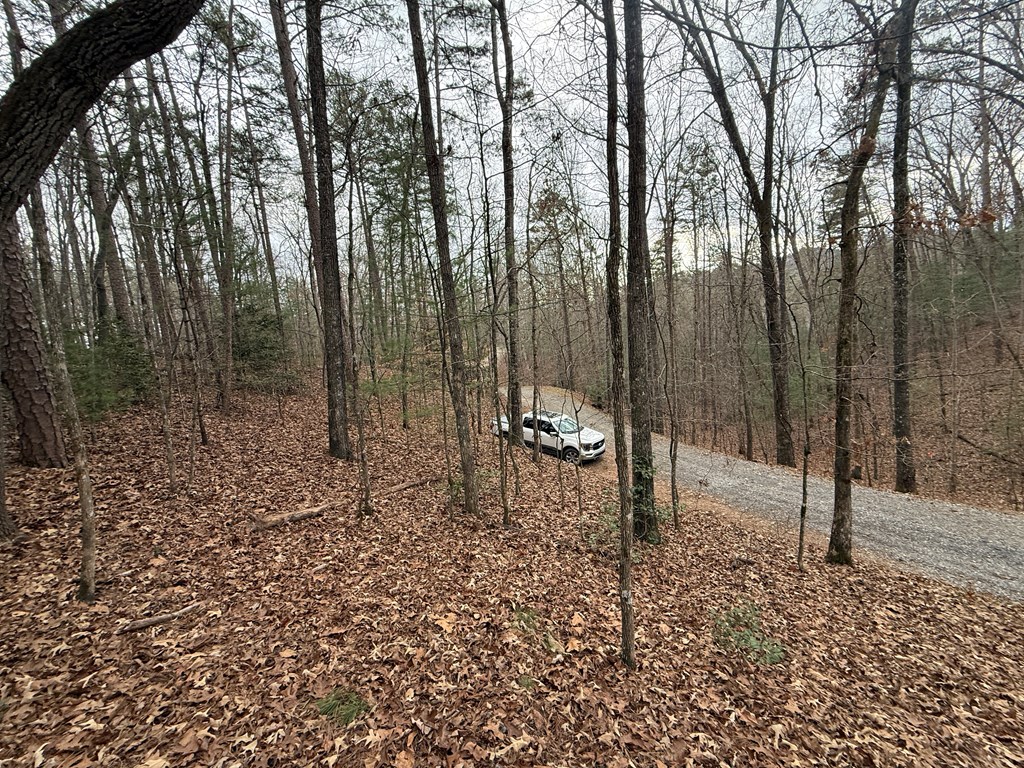0 Kestrel Rdg Circle Murphy, NC 28906 - Photo 3 of 13