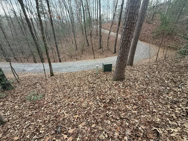 a view of a backyard of the house