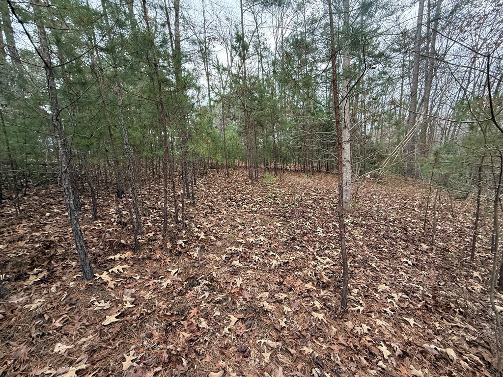 0 Kestrel Rdg Circle Murphy, NC 28906 - Photo 6 of 13