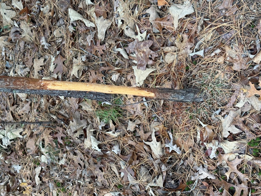 0 Kestrel Rdg Circle Murphy, NC 28906 - Photo 7 of 13