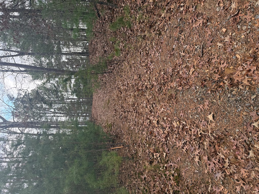 0 Kestrel Rdg Circle Murphy, NC 28906 - Photo 10 of 13