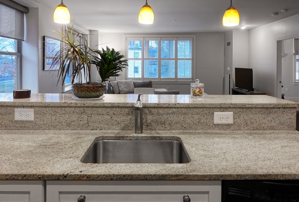 116 Rantoul Street, Unit 210 Beverly, MA 01915 - Photo 8 of 16 a kitchen with a sink and a potted plant
