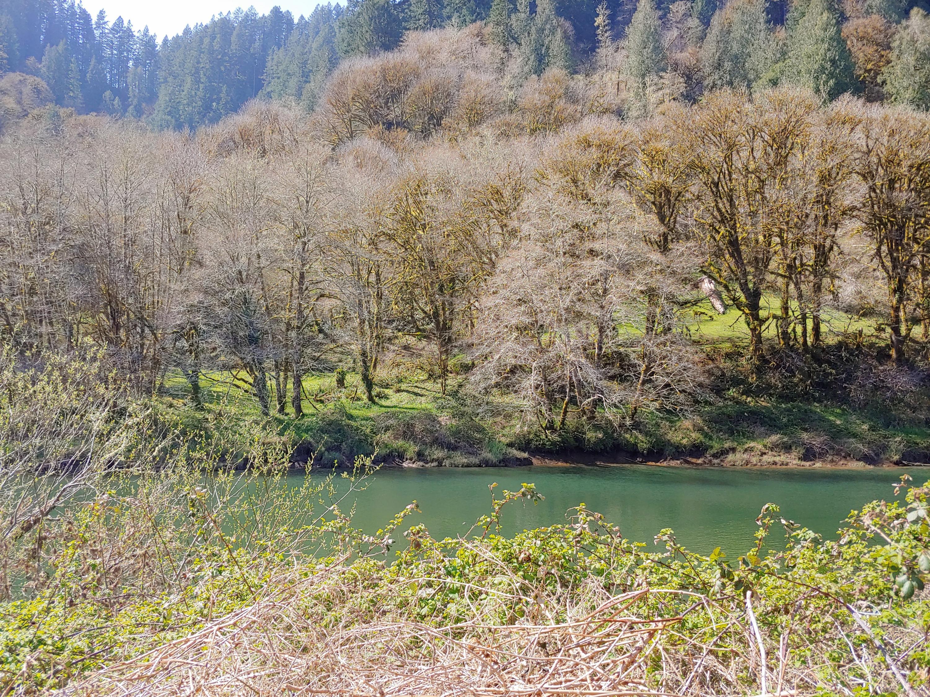 734 Little Switzerland Road Tidewater, OR 97390 - Photo 16 of 29 20210401_143124_HDR