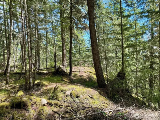 $250,000 | -lot B Pioneer Hill Road, Orcas Island, WA 98279