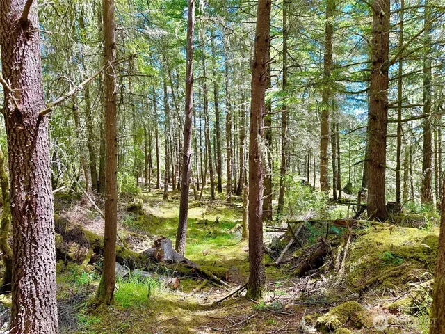 a view of outdoor space and garden