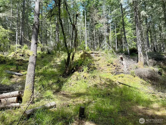 a view of outdoor space and trees