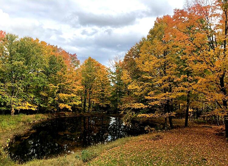 557 Stetson Road Exeter, ME 04435 - Photo 2 of 17 20230506_155822