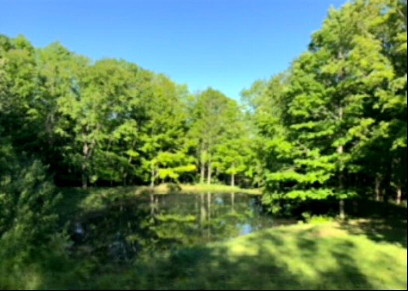 557 Stetson Road Exeter, ME 04435 - Photo 8 of 17 20230506_155704