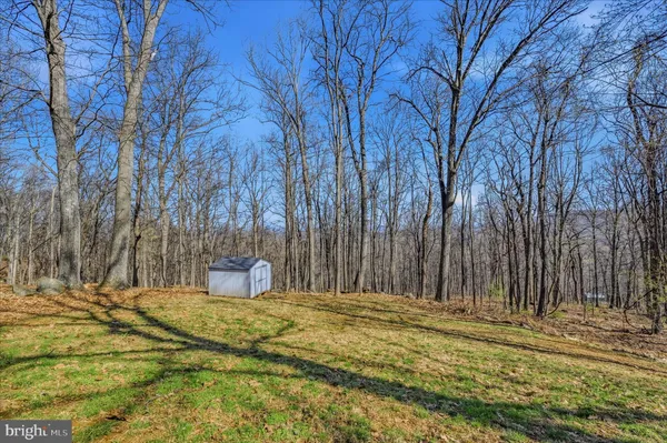 a view of a backyard with of trees