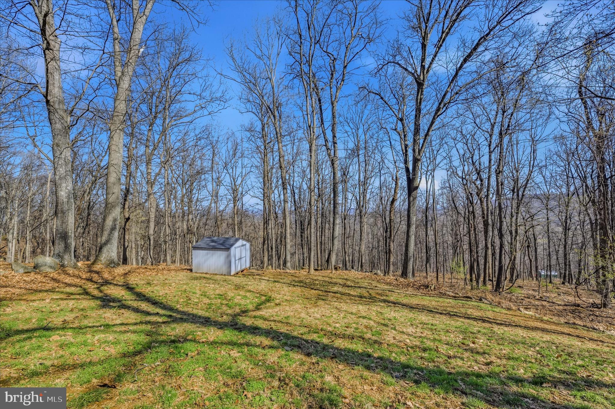 167 Pocahontas Road Front Royal, VA 22630 - Photo 36 of 55 Backyard