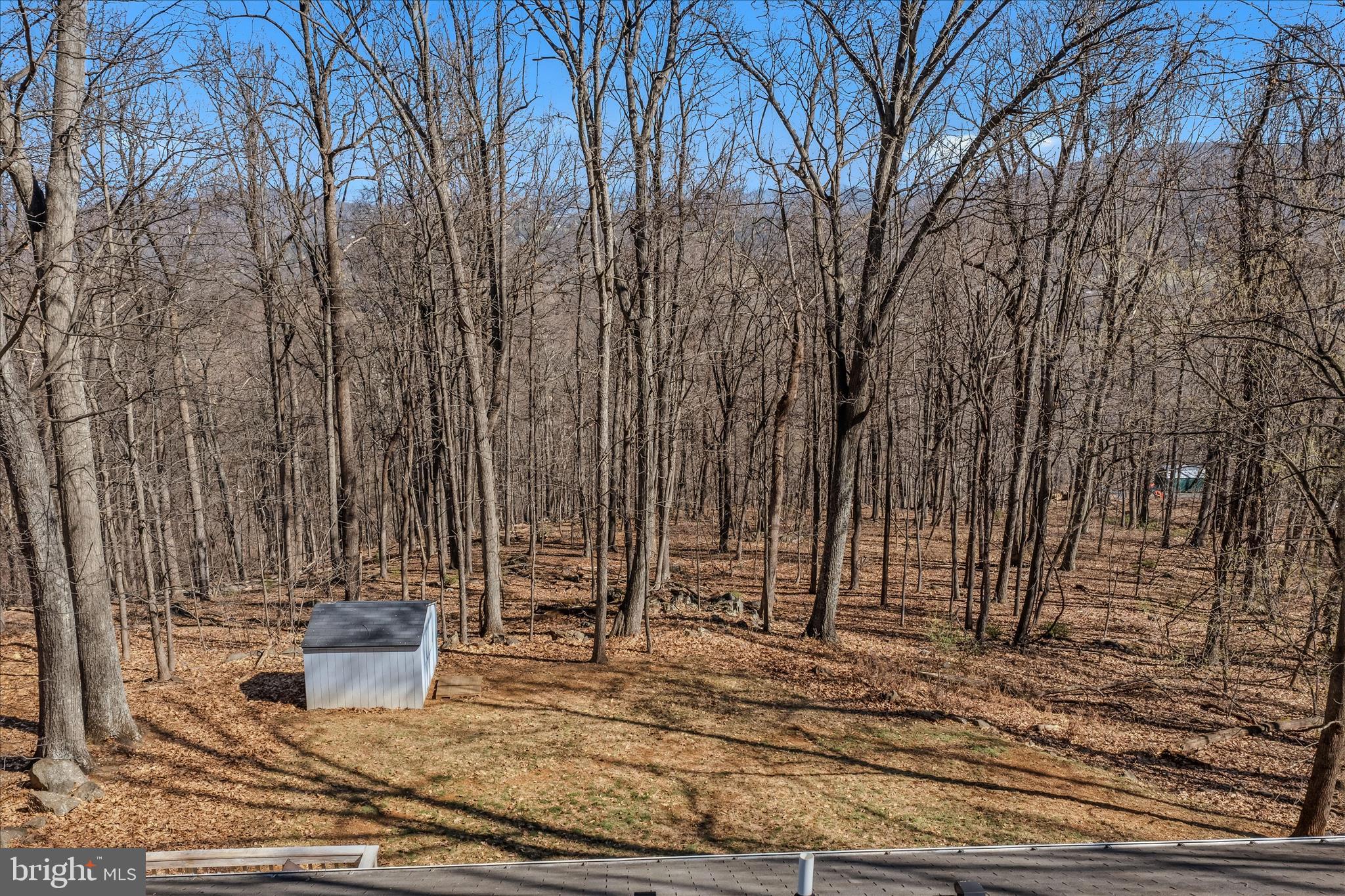 167 Pocahontas Road Front Royal, VA 22630 - Photo 44 of 55 Backyard