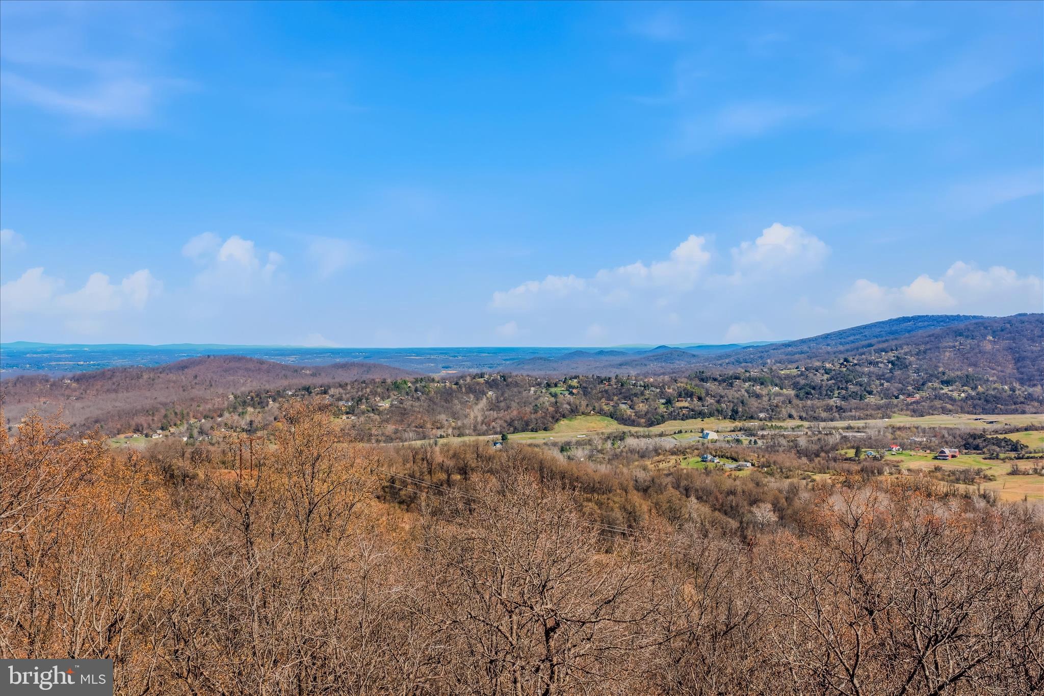167 Pocahontas Road Front Royal, VA 22630 - Photo 45 of 55 Tree Top View