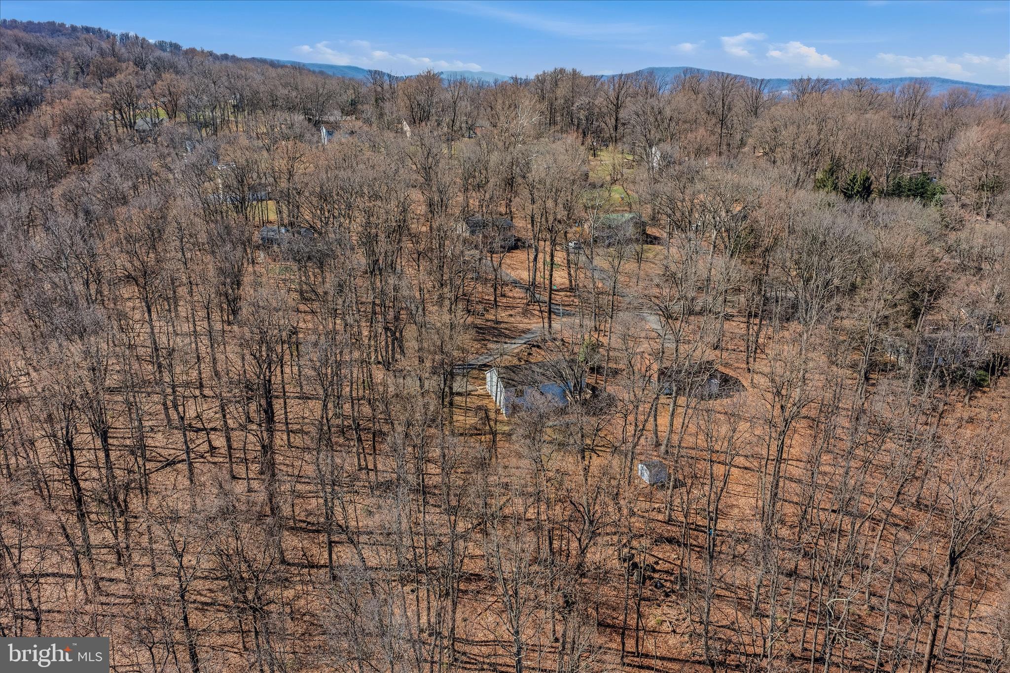 167 Pocahontas Road Front Royal, VA 22630 - Photo 47 of 55 Aerial Back