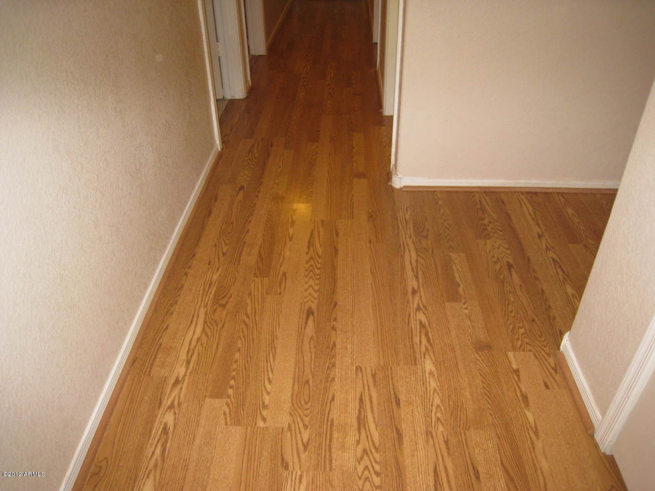 8625 West Monte Vista Road Phoenix, AZ 85037 - Photo 17 of 32 IMG_6033