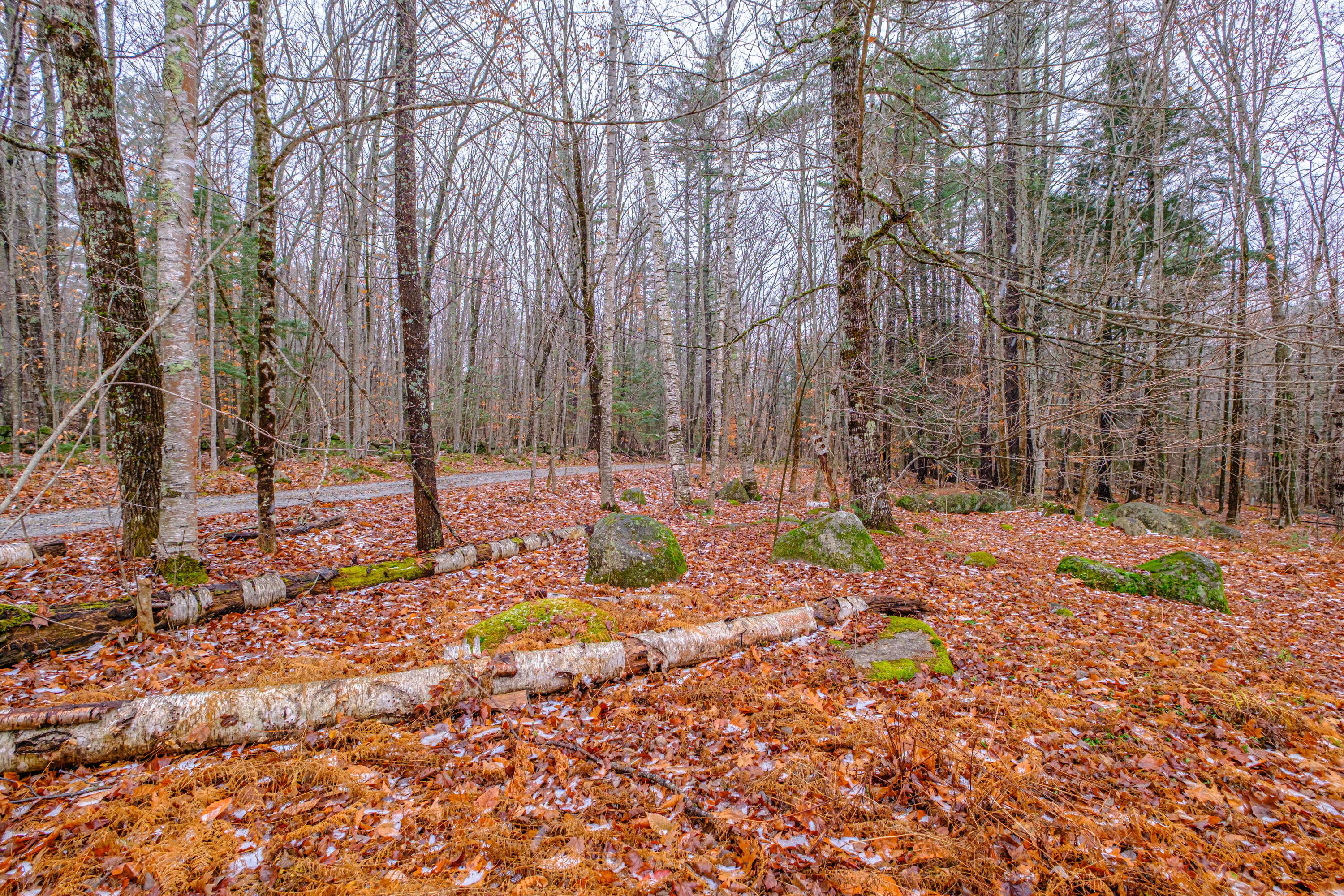 19 Silver Birch Road Harrison, ME 04040 - Photo 38 of 47 20251111gp-60045