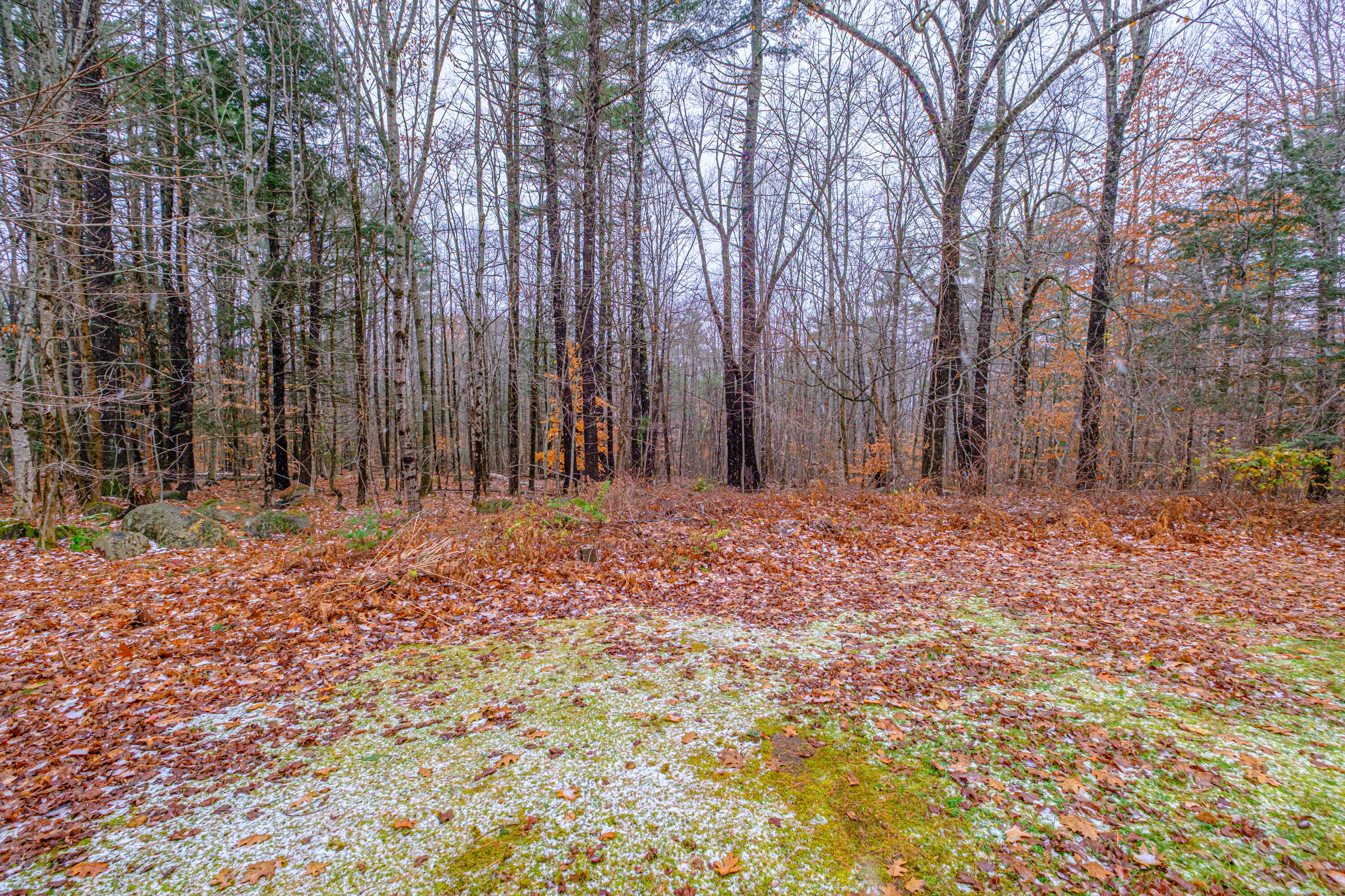 19 Silver Birch Road Harrison, ME 04040 - Photo 39 of 47 20251111gp-60046