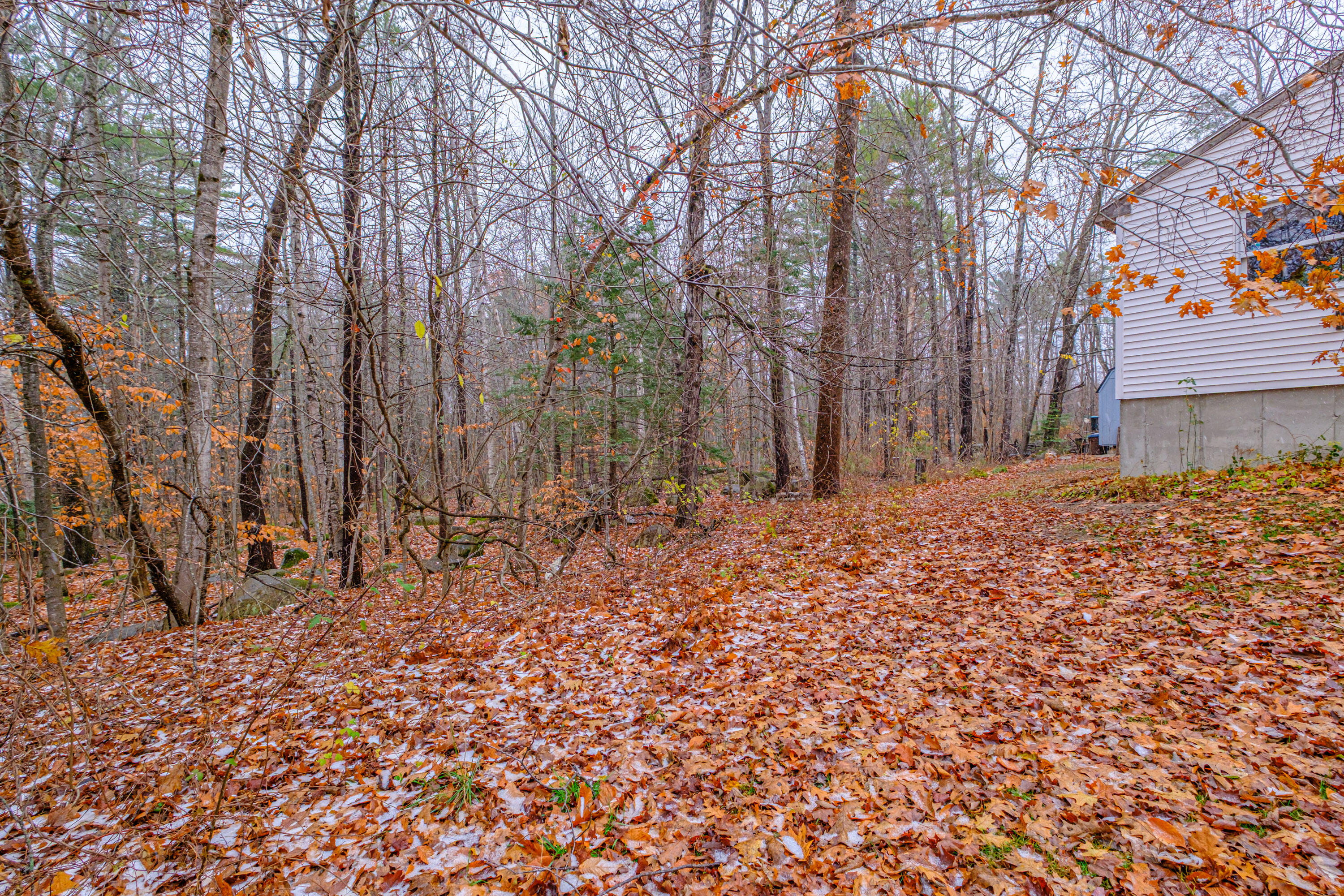 19 Silver Birch Road Harrison, ME 04040 - Photo 41 of 47 20251111gp-60048
