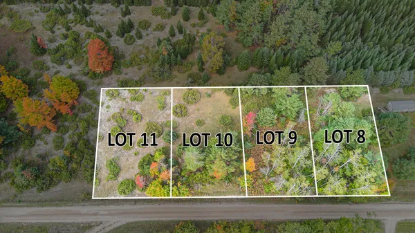 $54,900 | V/l Trout Creek Road, Cheboygan, MI 49721