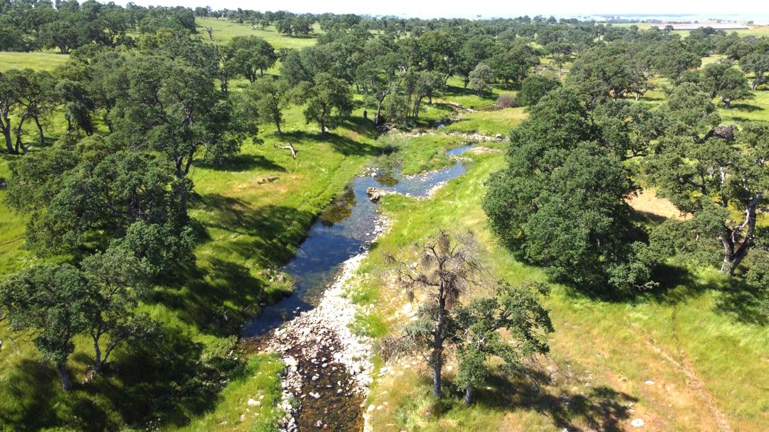 3 Zorro Road La Grange, CA 95329 - Photo 2 of 13 a view of a forest