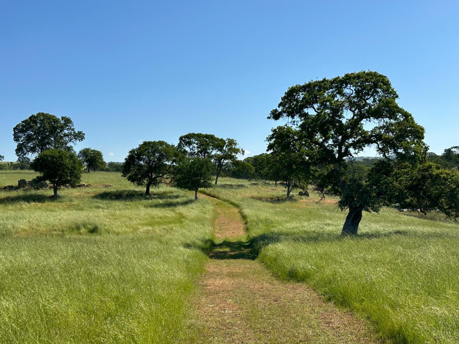 3 Zorro Road La Grange, CA 95329 - Photo 5 of 13 a view of swimming pool with a yard