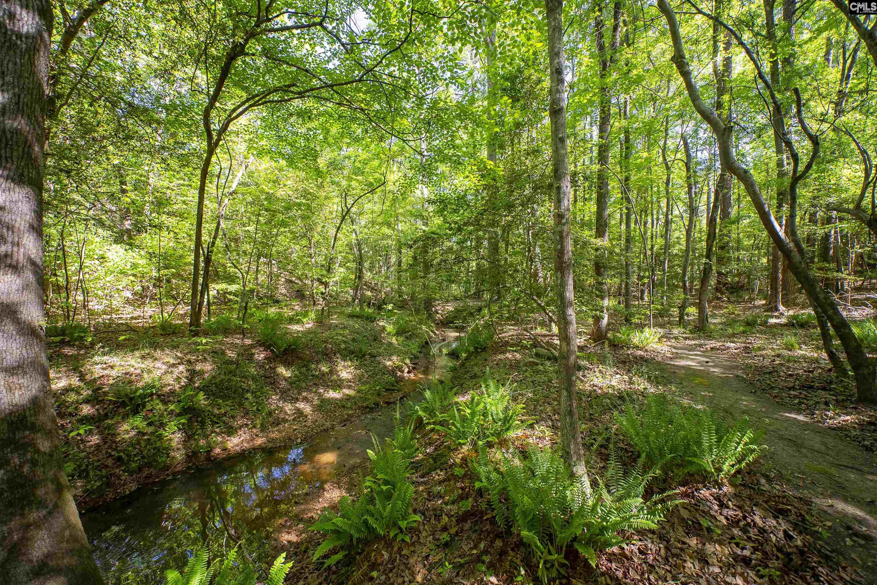 102 Warner Woods Road Lexington, SC 29072 - Photo 38 of 49