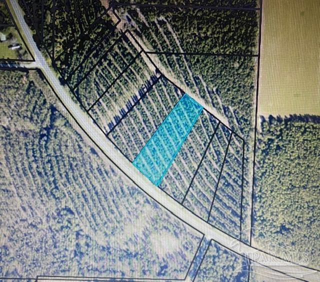 13 Wiggins Grove Road Jay, FL 32565 - Photo 2 of 10