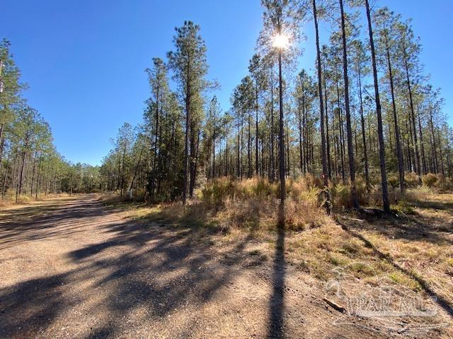 13 Wiggins Grove Road Jay, FL 32565 - Photo 6 of 10