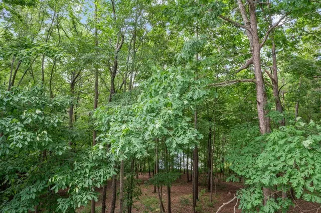 $1,399,000 | 380 Fredericks Cove, Dawsonville, GA 30534