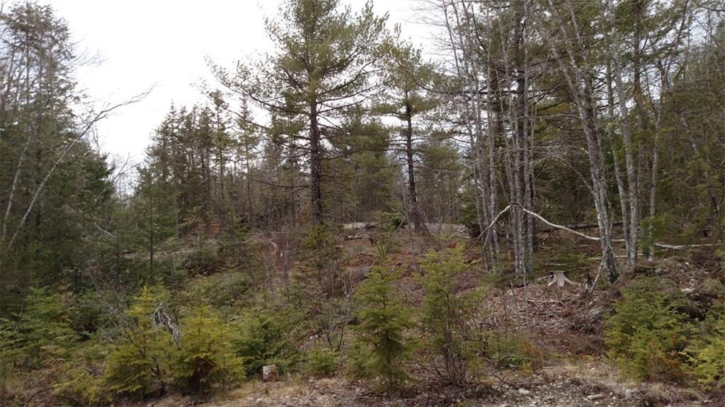0 Old County Road Pembroke, ME 04666 - Photo 2 of 6 Photo