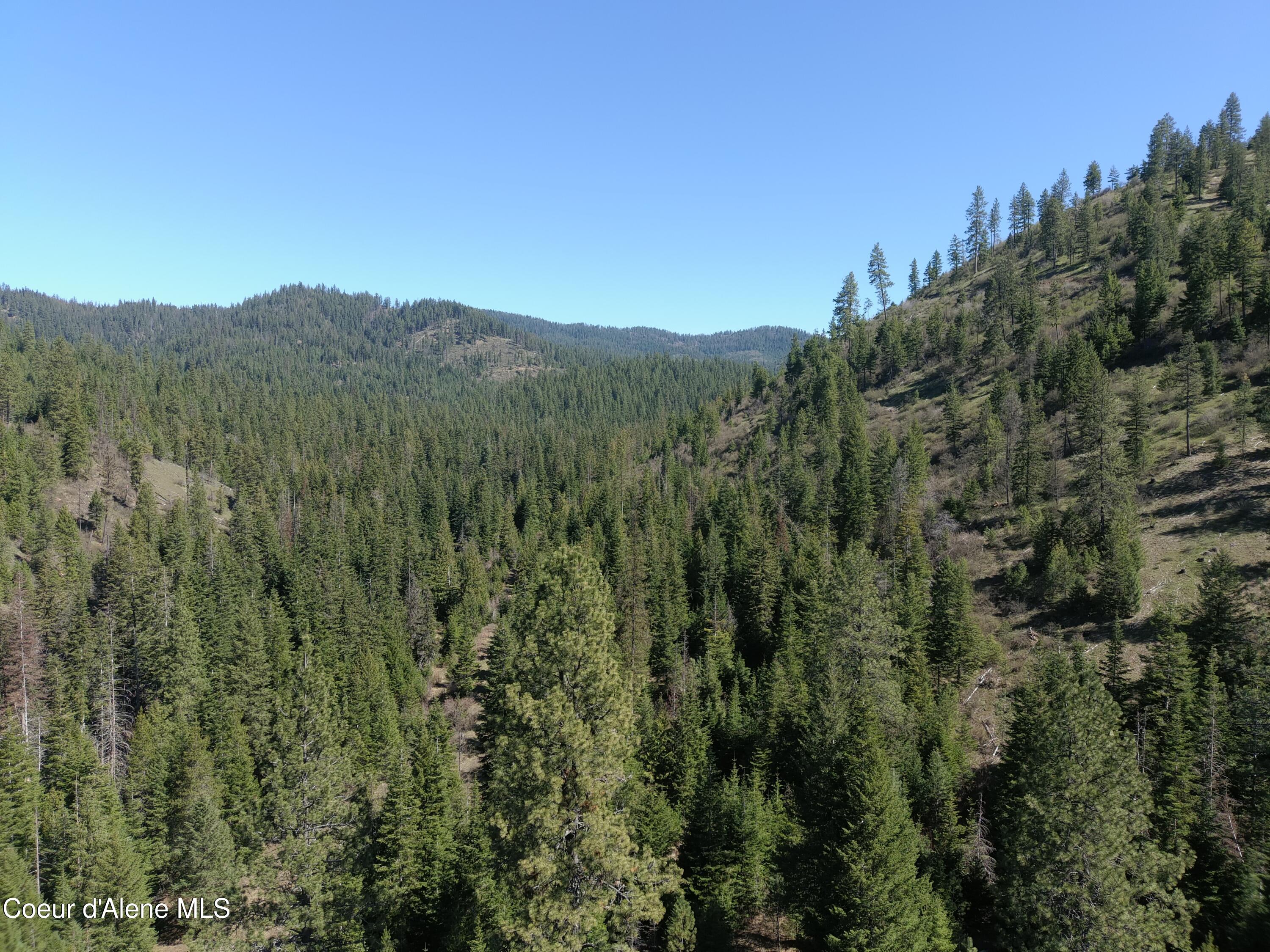 Carlin Creek Road, Unit 256 Harrison, ID 83833 - Photo 15 of 31 MAX_0011