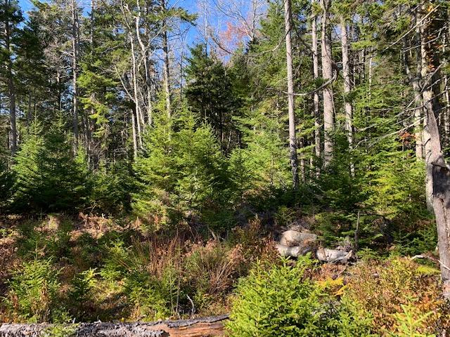 0 Patten Point Road Spruce Head, ME 04859 - Photo 5 of 6 IMG_7877