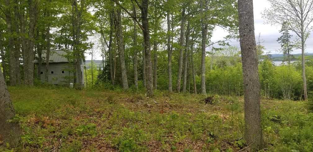 0 Coastal Road Brooksville, ME 04617 - Photo 12 of 15 download (10)