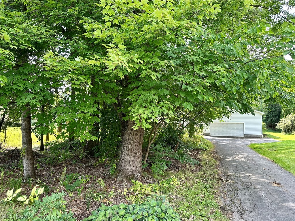 1009 Sandy Lake Road Kent, OH 44240 - Photo 2 of 35 Street view of home