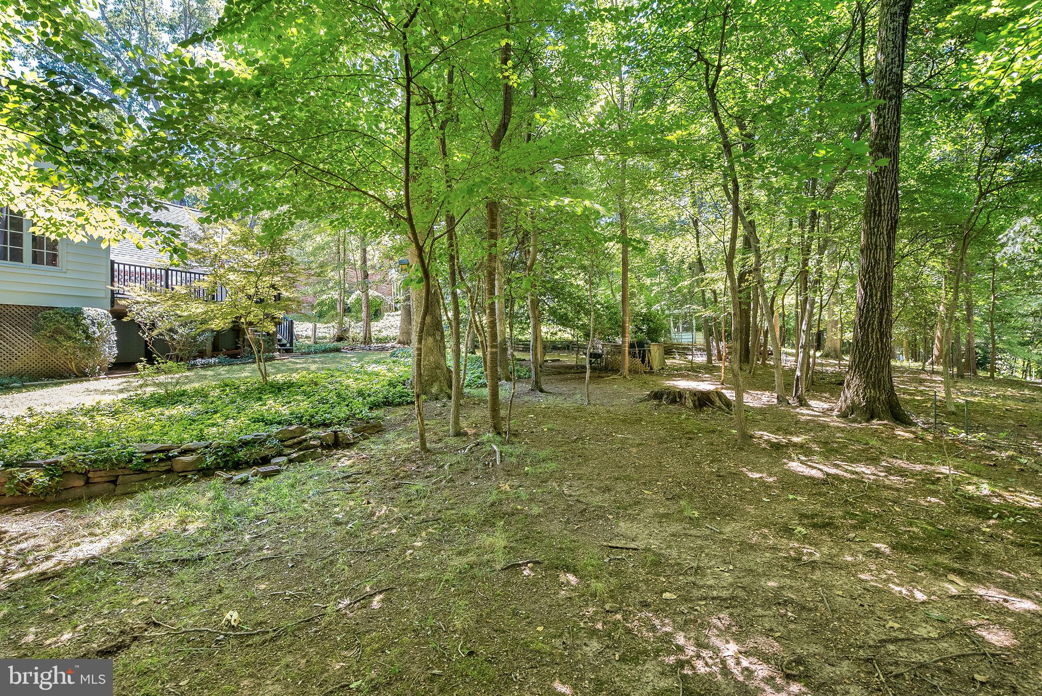12016 Edgepark Court Potomac, MD 20854 - Photo 60 of 67 Gallery Image 60