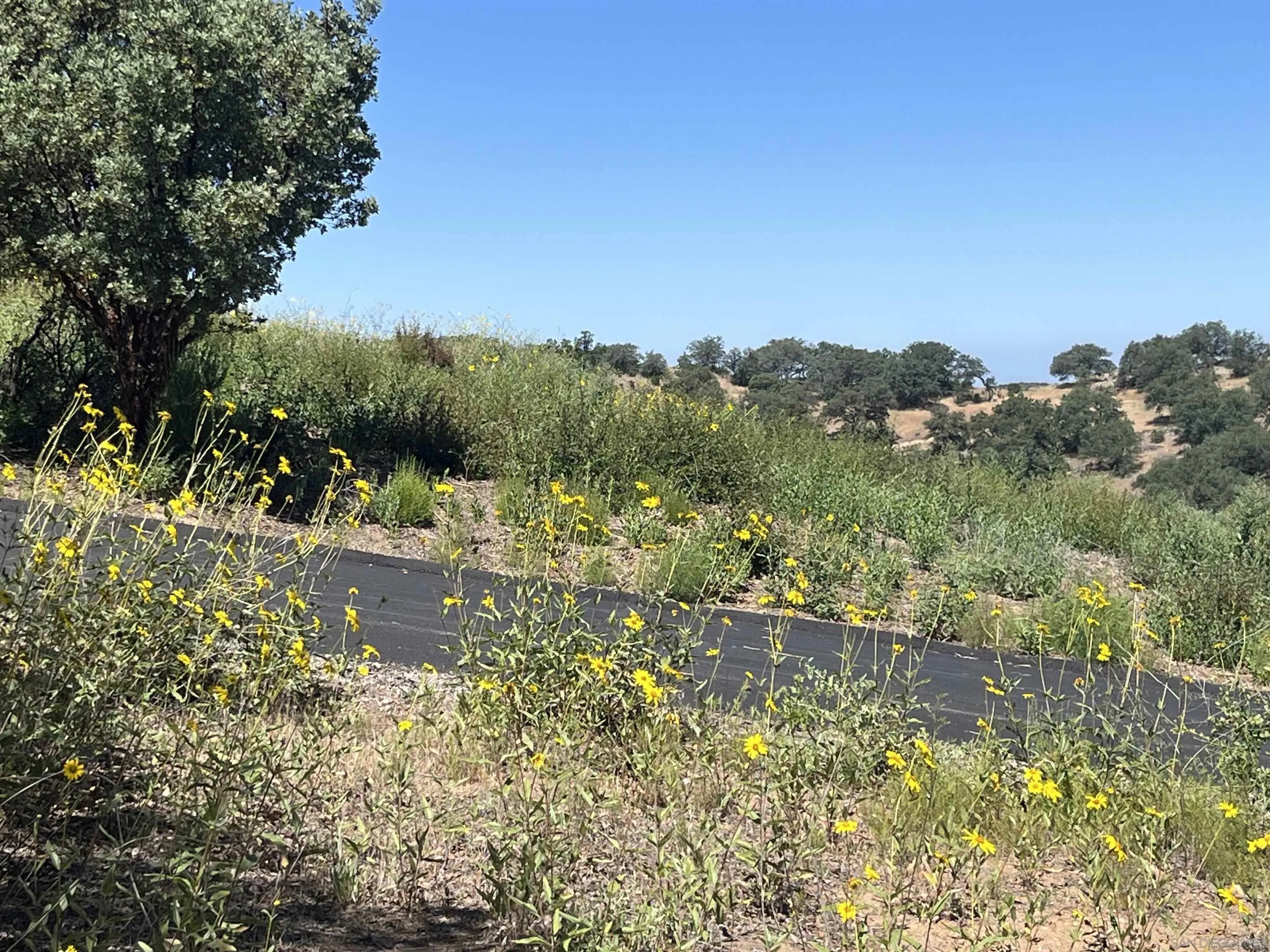 3890 Eagle Ridge Julian, CA 92036 - Photo 19 of 28