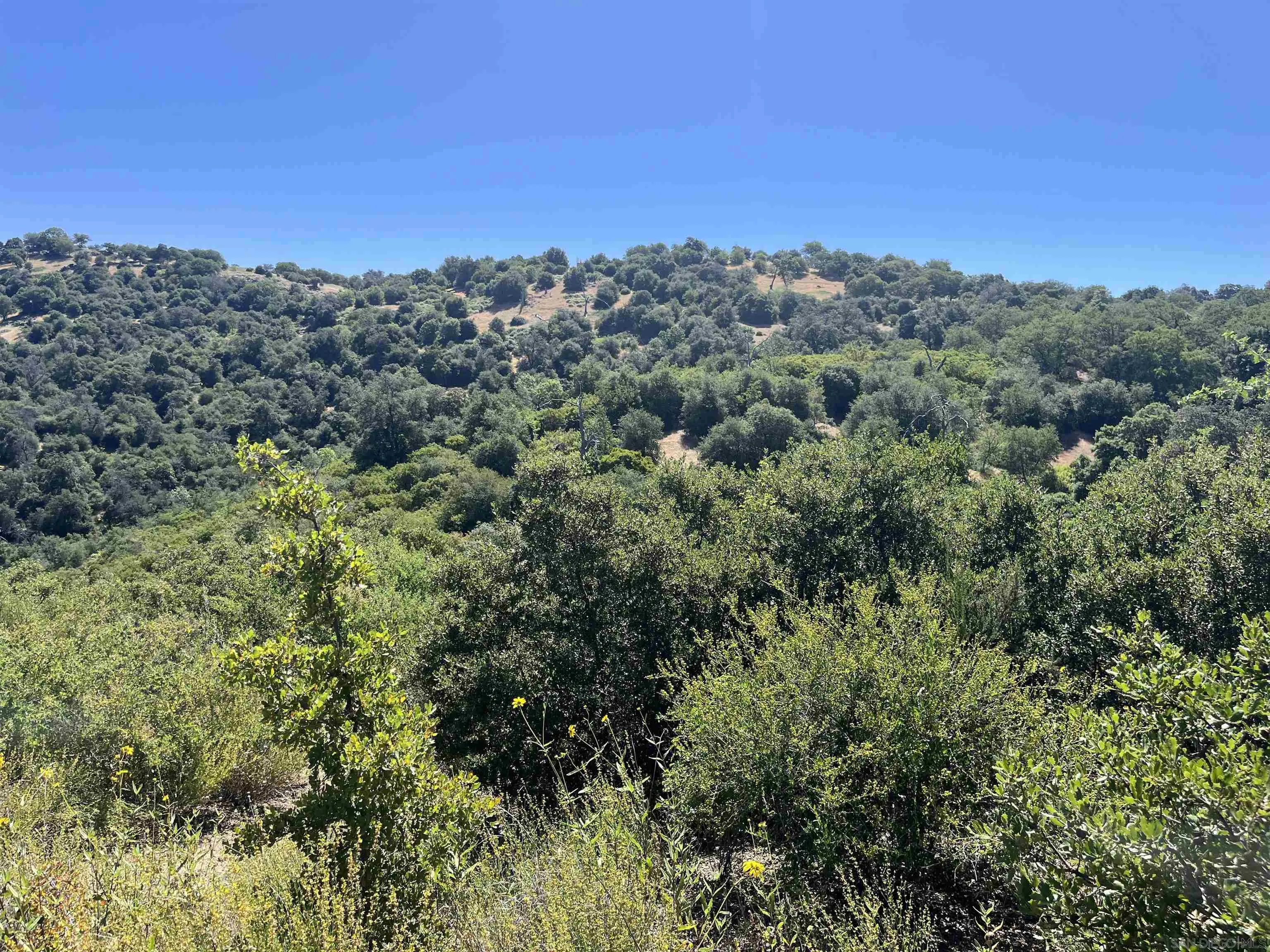 3890 Eagle Ridge Julian, CA 92036 - Photo 21 of 28