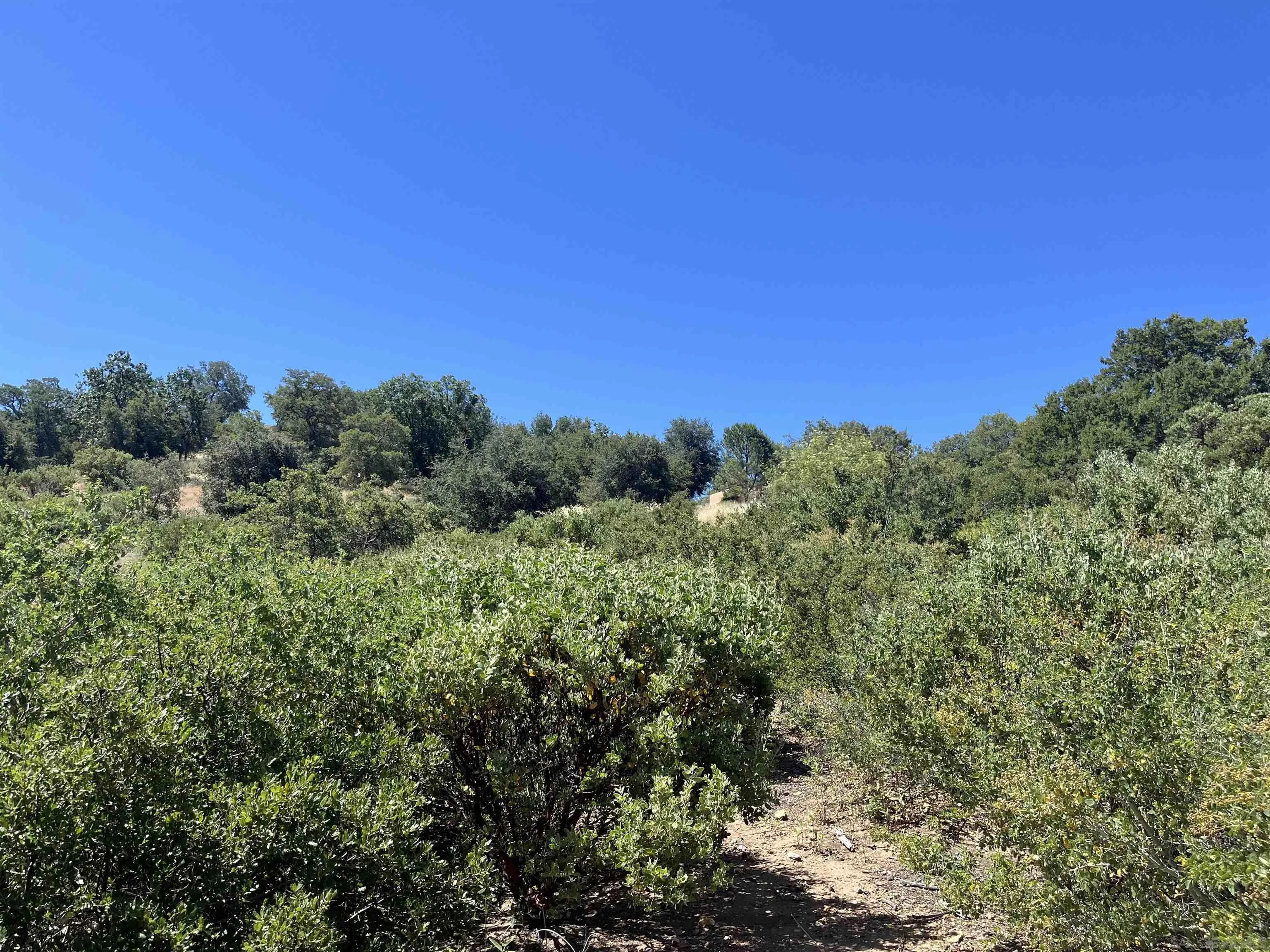 3890 Eagle Ridge Julian, CA 92036 - Photo 23 of 28