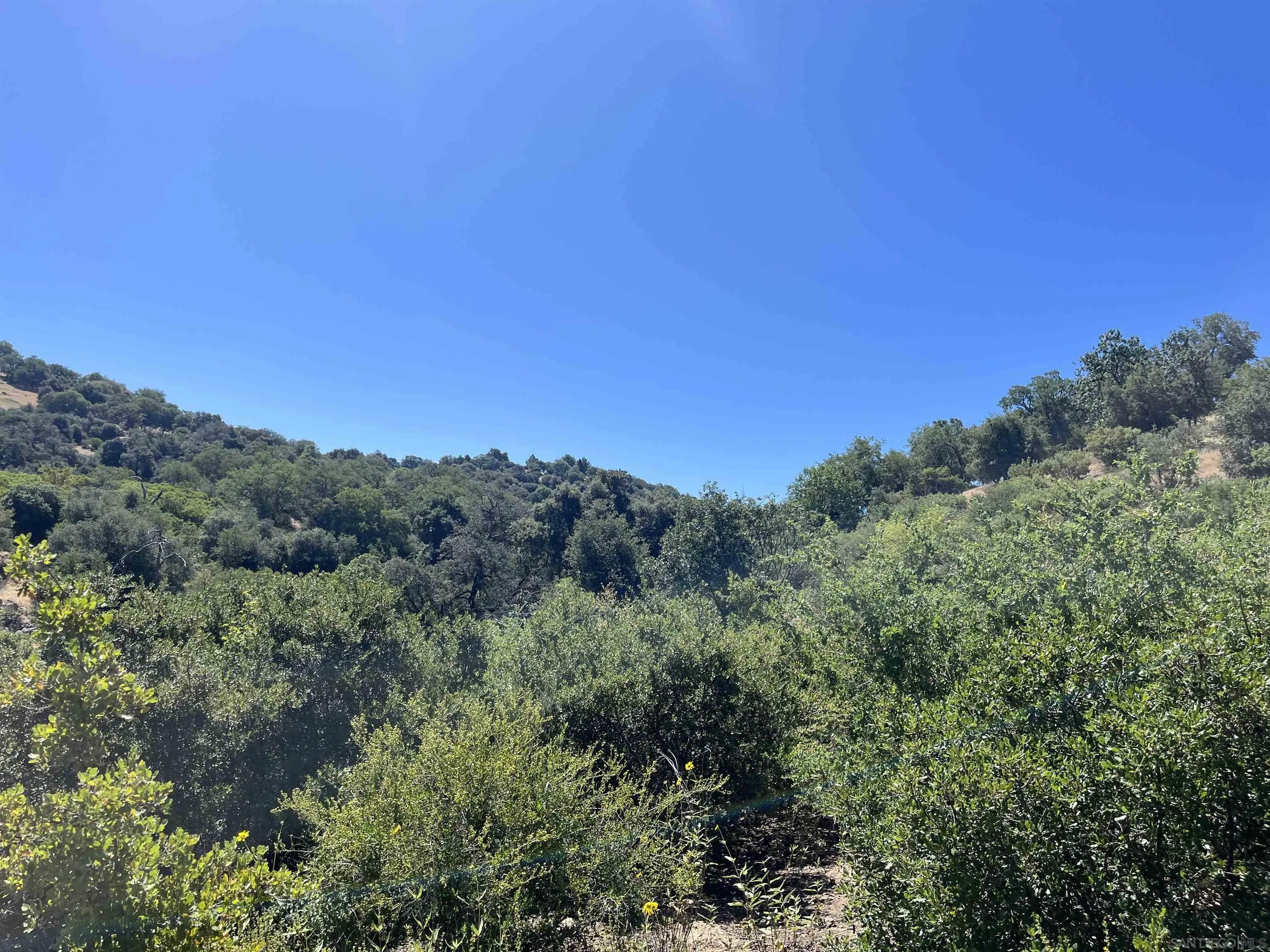 3890 Eagle Ridge Julian, CA 92036 - Photo 24 of 28