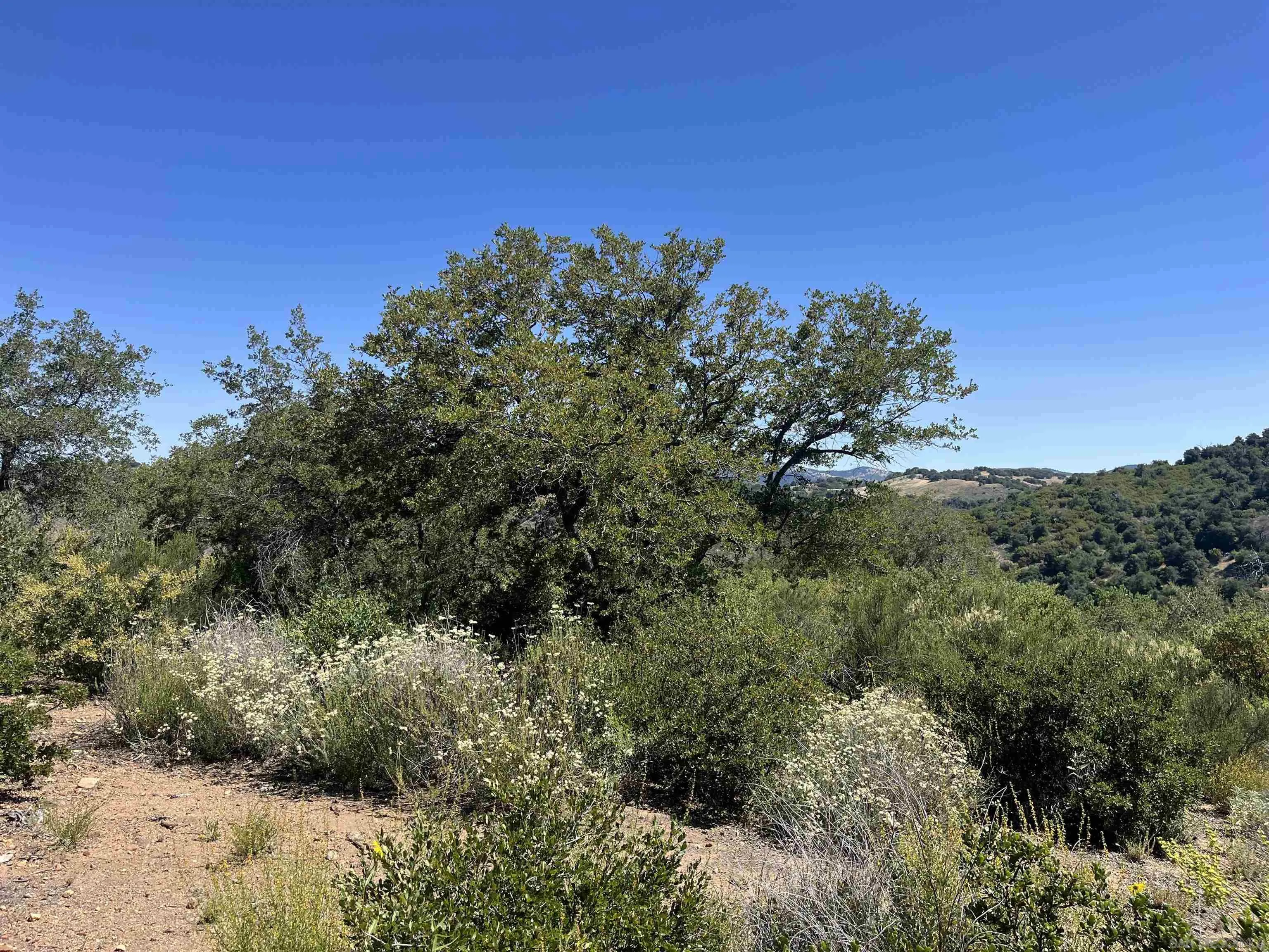 3890 Eagle Ridge Julian, CA 92036 - Photo 25 of 28