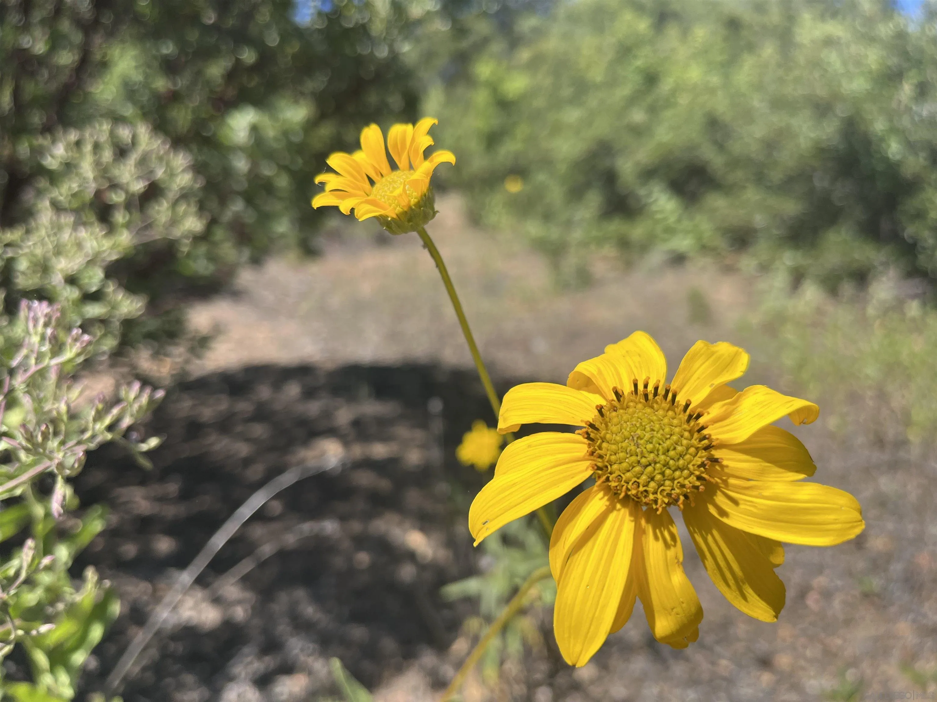 3890 Eagle Ridge Julian, CA 92036 - Photo 28 of 28