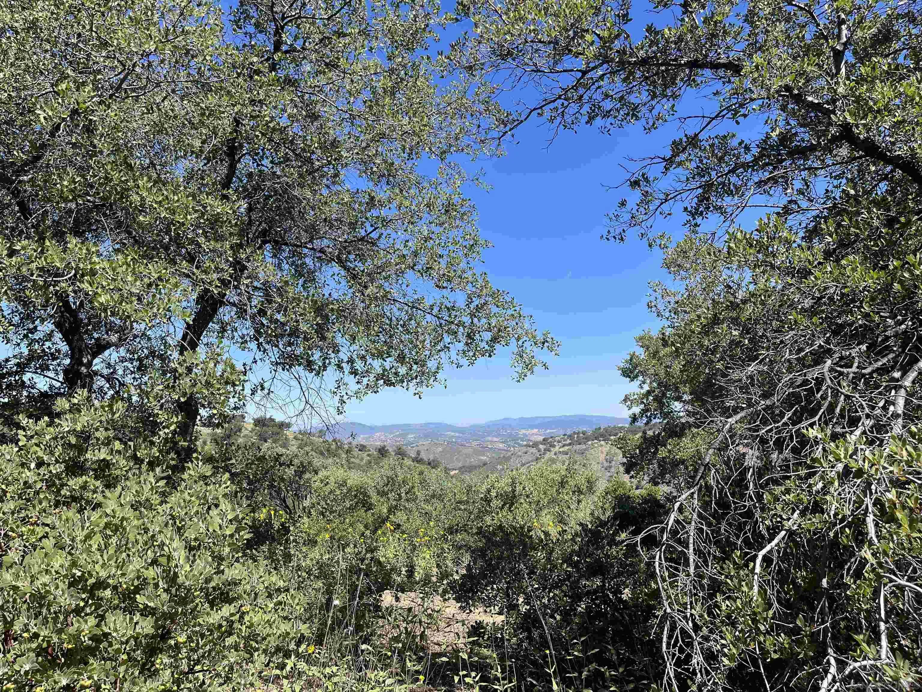 3890 Eagle Ridge Julian, CA 92036 - Photo 4 of 28