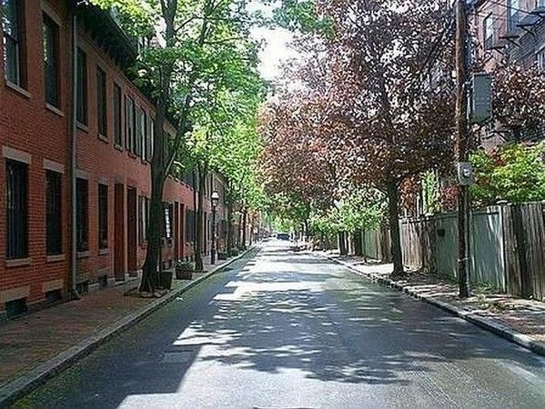 a view of a park with pathway and trees