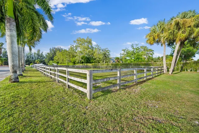 a view of a garden with a bench in the background