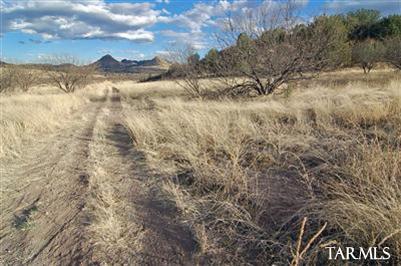 Ranch Road, Unit WEST Patagonia, AZ 85624 - Photo 12 of 15