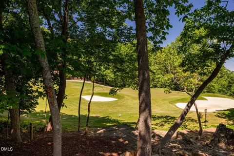 a view of mountain view from a tree