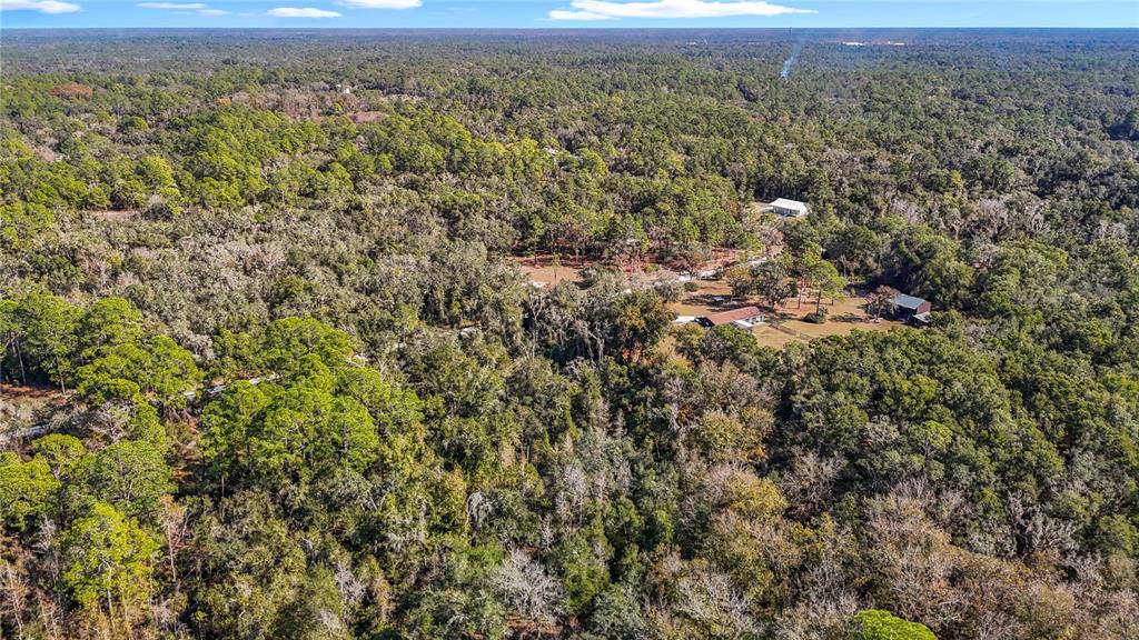 7241 Sonia Avenue Webster, FL 33597 - Photo 22 of 23 an aerial view of forest