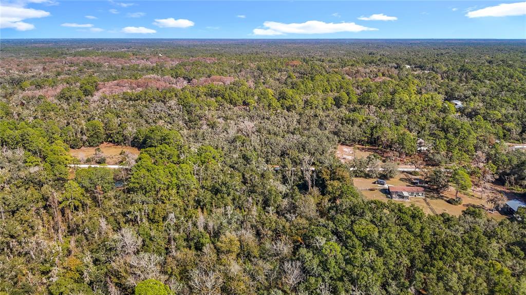 7241 Sonia Avenue Webster, FL 33597 - Photo 23 of 23 an aerial view of residential houses with outdoor space