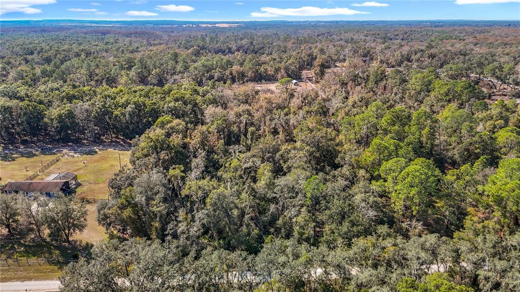 7241 Sonia Avenue Webster, FL 33597 - Photo 8 of 23 a view of a field with a mountain in the background